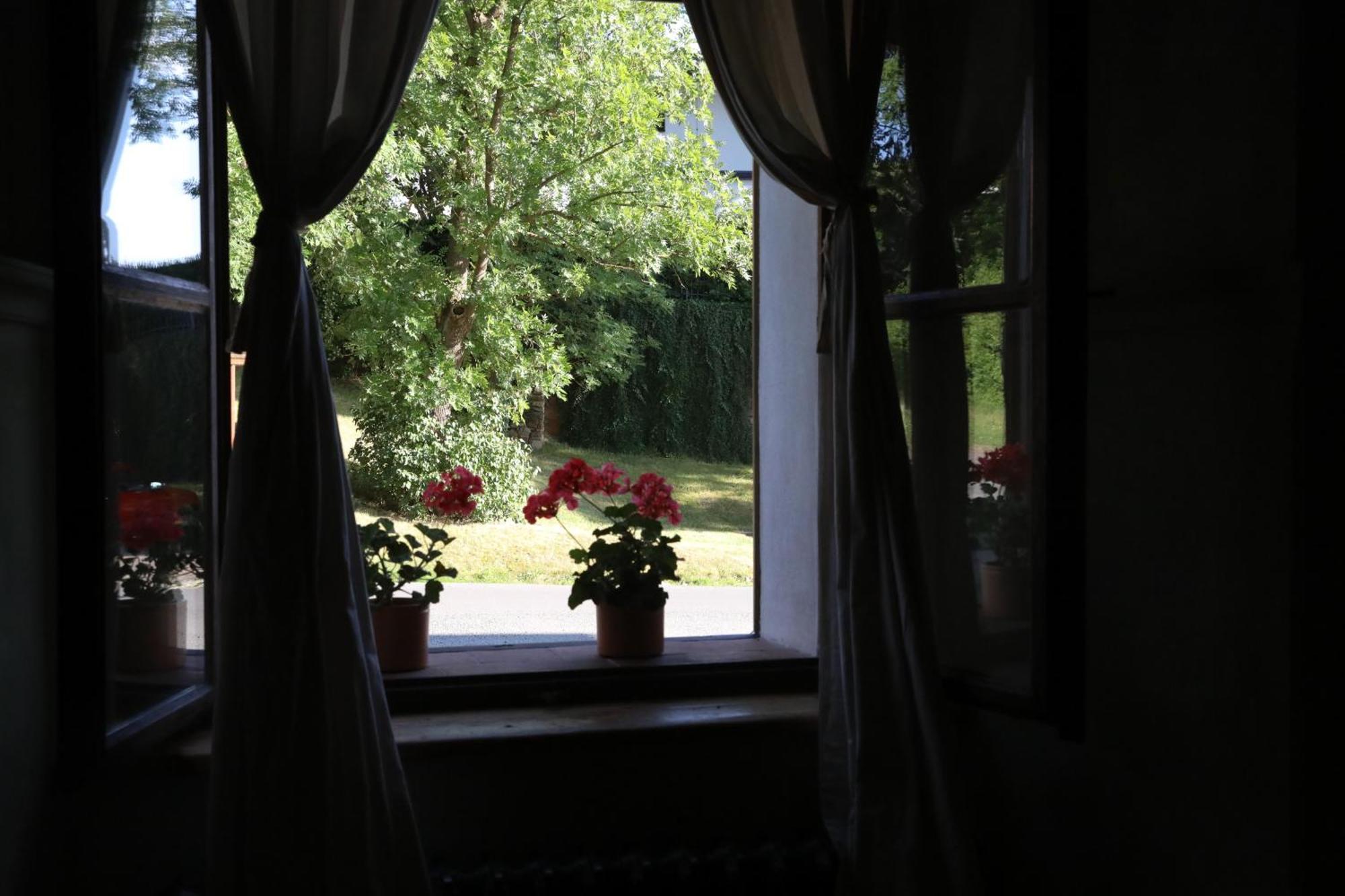 Historicke Apartmany Zelenohorska Posta Nepomuk Luaran gambar